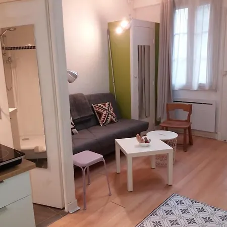 A Deux Pas Du Chateau - * Pau