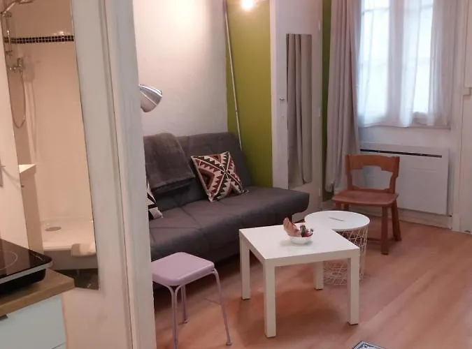 A Deux Pas Du Chateau - * Pau